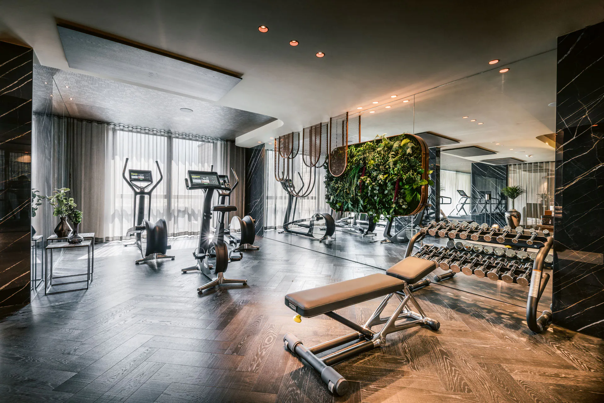 Hanging Garden Fitness Studio Grüne Decke — Deckenbegrünung von MOOSMOOS